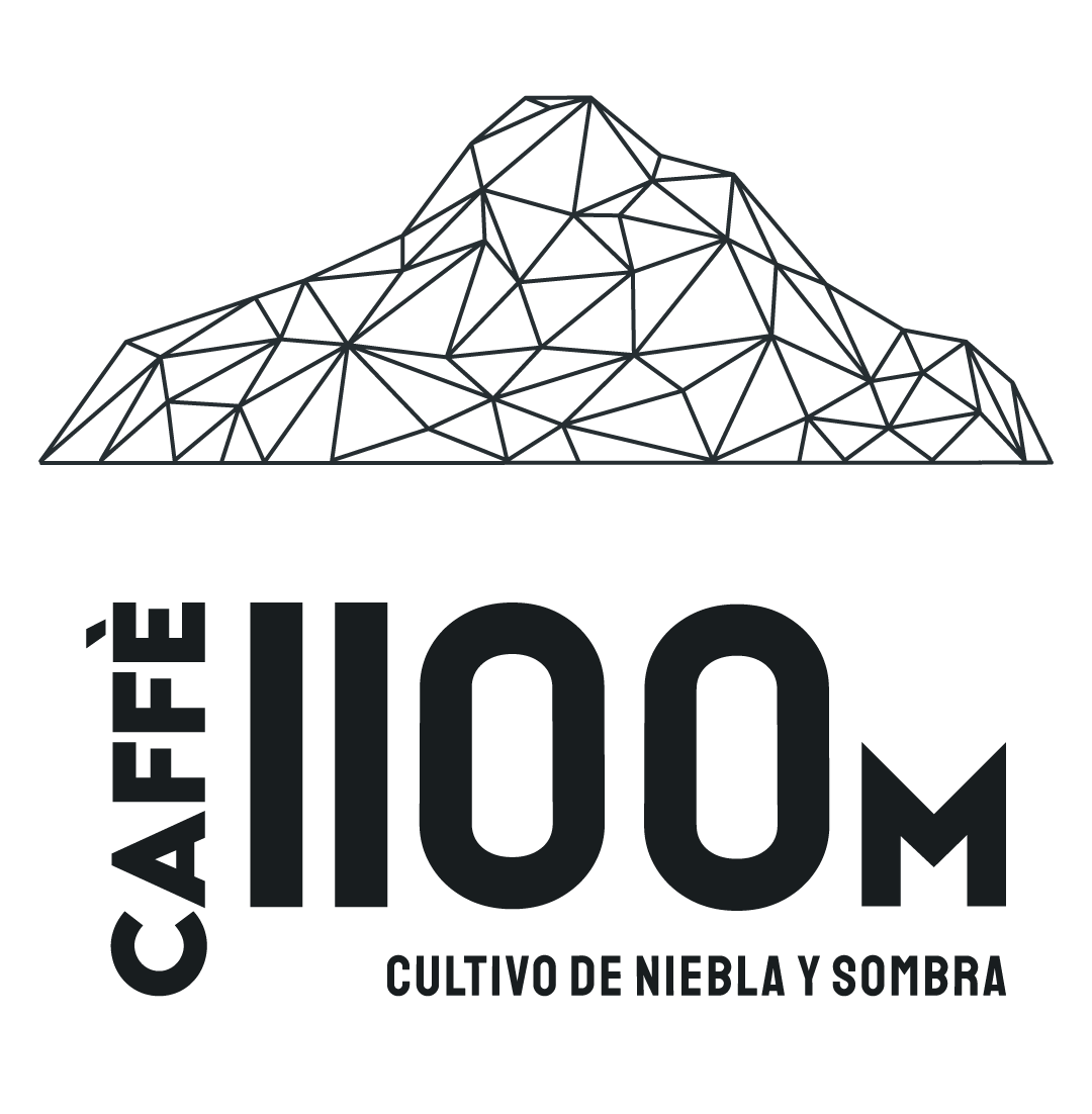 Caffè 1100m — cultivo de niebla y sombra
